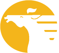 MIAT Mongolian Airlines
